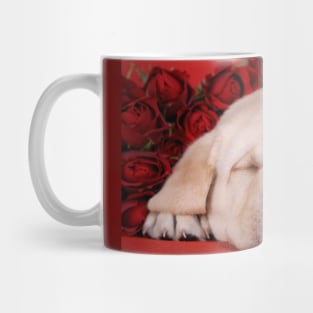 Sleeping beauty Mug